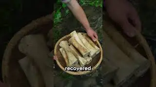 От кости к шедевру 🤯