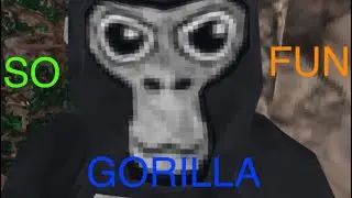 Gortilla Tag