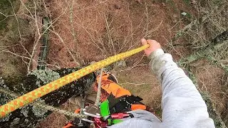 montage appeau palombière