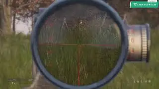 DayZ Vanilla Solo Surviving Chernarus