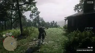 Red Dead Redemption pelts