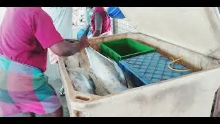 kollam vaadi harbour