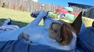 Sisi relaxing 