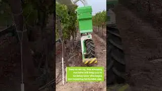 Mechanical weed control with the robot Ted + Finger roller by Clemens in #vineyards
