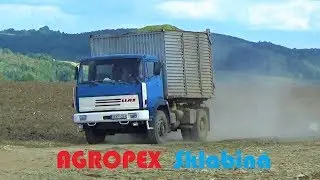 AGROPEX  Sklabin&aacute; - Sil&aacute;že 2019 // Silage 2019 ( Krone, 3&times; New holland, Tatra, Valtra, Liaz, &Scaron;koda..