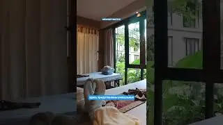 Suuko wellness spa. Лучшее спа на Пхукете