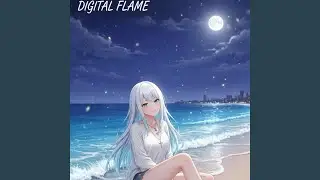 Digital Frame