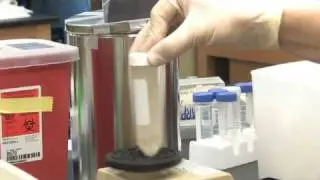 Why proteins travel to particular places in cells