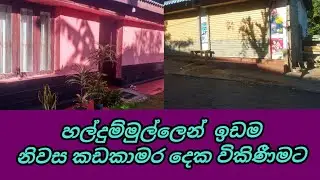 Haldummulla Land Sale|Haldummulla House Sale|Badulla Land Sale|හල්දුම්මුල්ල ඉඩම්|CSB Property Sale 