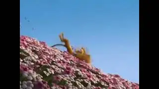 Alex Cayendo