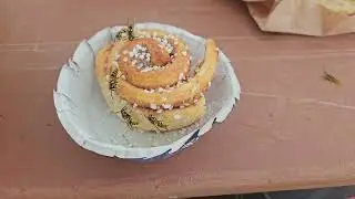 Clips Found On Phone from 2025 F3K World Championship. Tarp Germany.