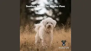 Gentle Paw Harmony