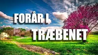 For&aring;r i Tr&aelig;benet - Klaus Brinch (Kvintetten Samklang)