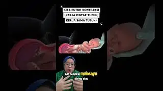 Peran Kontraksi Dalam Persalinan
