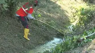 200 le aziende candidate a lavorare al fianco del CB2 sui corsi d&rsquo;acqua del comprensorio