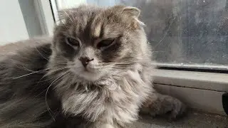 Играю в Тф2 за 𝒅𝒐𝒄𝒕𝒐𝒓 𝒔𝒆𝒙 и болтаю часть 3