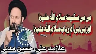 Allama Ali Hussain Madni | BiBi Sakeena s.a Or BiBi Ume Rubab s.a | #allamazameerakhtarnaqvi #new |