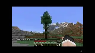 The Walking Tree