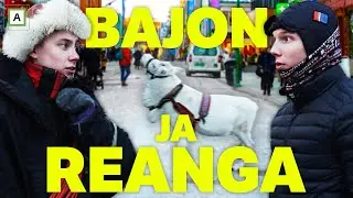 Bajon & Reaŋga | Reinsdyr i Tromsø by