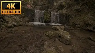 Stress Relief & Calm Mind with Subtle River Sound by Monochrome Secluded Woodland Creek
