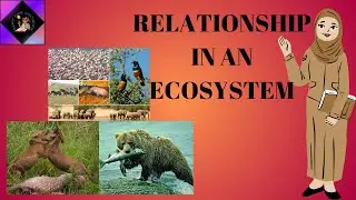 Nature's Balance: Exploring Competition, Cooperation, and Predation in Ecosystems | Easy And Amazing