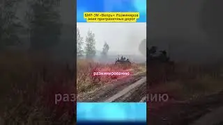 БМР 3М &laquo;Вепрь&raquo; Разминирование приграничных дорог #militaryanalysis