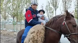 Кара-Кулжа, Октябрь айылы, Бексултандын улагы🔥🇰🇬