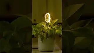 Oscillating, modulating, photosynthesizing 🔦🌿 #ridealso⁠