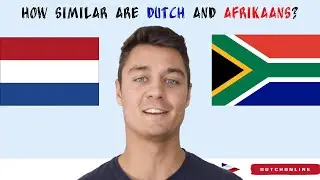 How Similar are Dutch and Afrikaans?