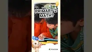 What Primary 2 Mathematics topics will you learn? | Practicle Math Singapore #shorts #maths