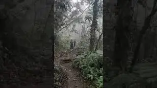 Mt. Makiling 4/6 difficulty