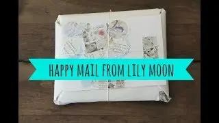 Happy Mail from Lily Moon (Etsy)