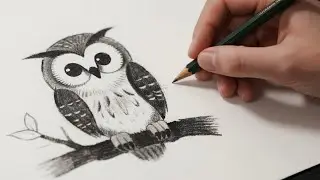You Won&rsquo;t Believe How Easy This Cute Owl Drawing Is! Step by Step for Everyone