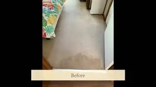 Water Damaged Carpet Melbourne