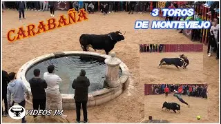 Carabaña 2025..3 Toros de Monteviejo.!!!