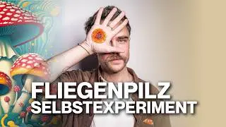 Fliegenpilz Selbstexperiment - HIGHDOSE low?