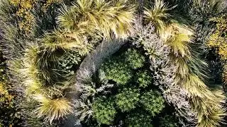 Il giardino del futuro