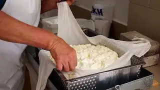 Making Fresh Sheep Cheese At The Klepalo Sheep Farm - Macedonia Tavel Blog And Guide -