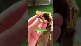 This Handmade Hornet Lure Is Topwater Perfection