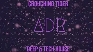 Deep & Tech House ~ Crouching Tiger