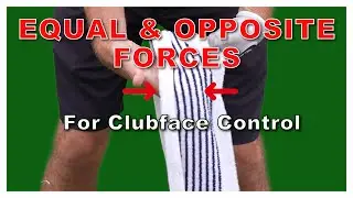 Equal and Opposite Forces