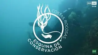 Rocky Coast - Below the Tides