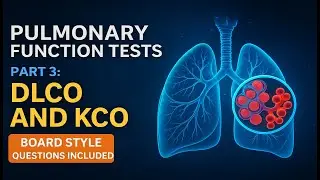 🫁 &laquo;МАСТЕР-КЛАСС DLCO & KCO: Сокрушите всех с помощью этих высокодоходных секретов!&raquo;