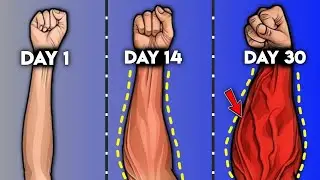 FOREARM WORKOUT | BIG ARMS WORKOUT AT HOME | Do This to Get A Stronger, Bigger And Veiny ForeArms