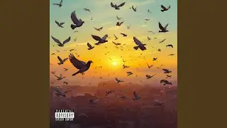 WANNA FLY