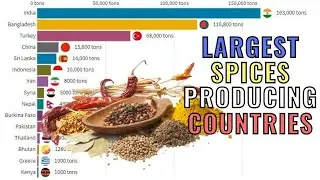 World's Leading Spices Producing Countries Since 1961 - 2018