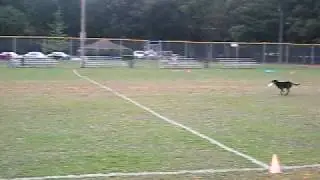 USDDN Top 10 Finals - Toss and Fetch
