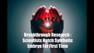 For the First Time Scientists Hatch Synthetic Embryo