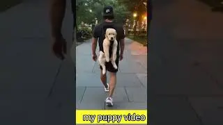 man carrying dog on his back, man carrying dog on shoulders, man carrying dog, #mypuppyvideo,#shorts