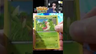 Pokemon 2015 XY Roaring Skies Full Art Pull 🔥